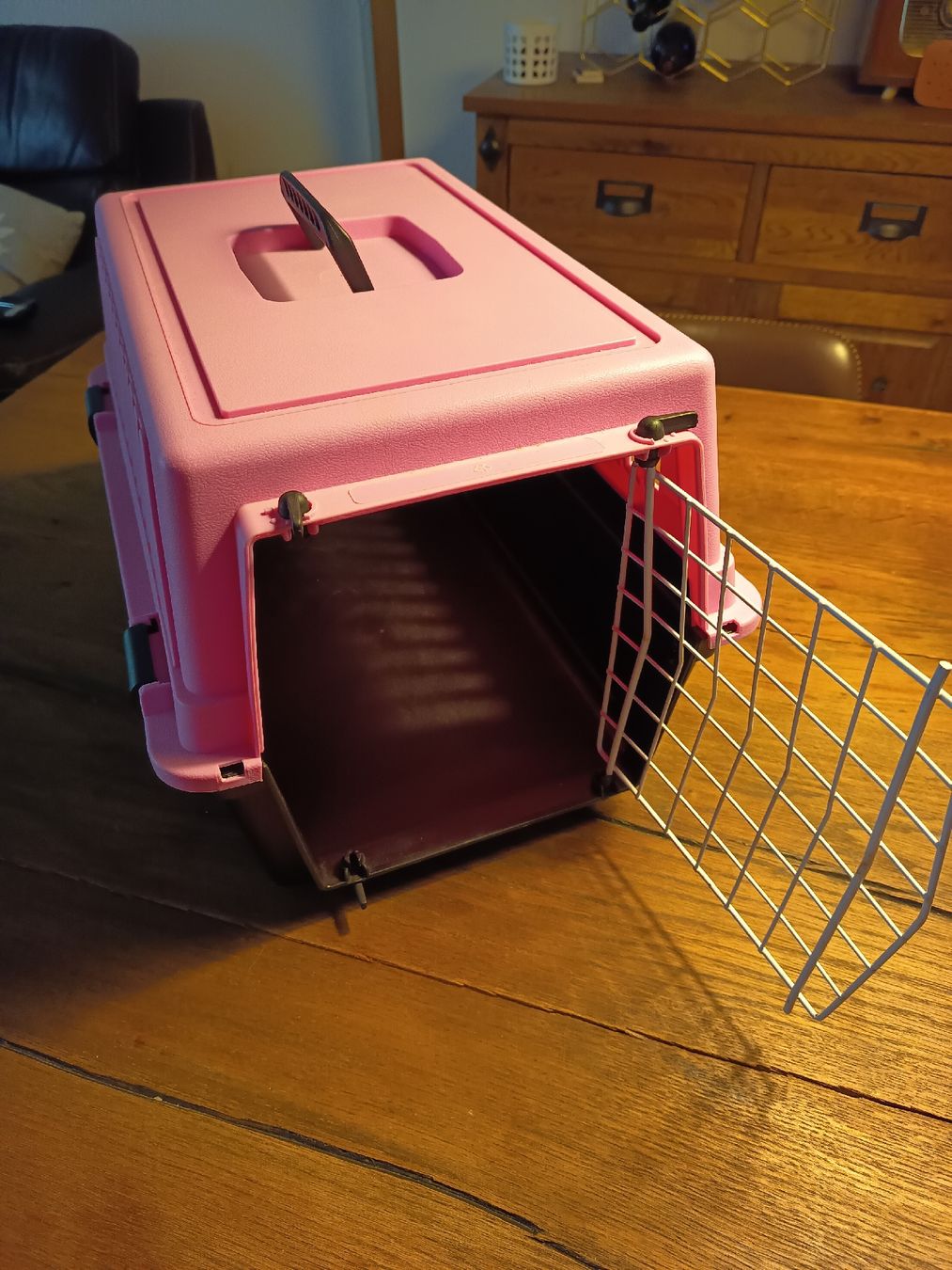 Gabbie, trasporto & Sicurezza: Katzen/Kleintier Transportbox  – Usato da Belp venduto da lamadefi12