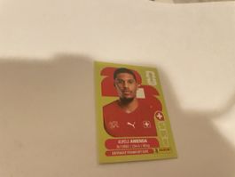 FiFA WM 2026 Aurele Amenda SUI 7