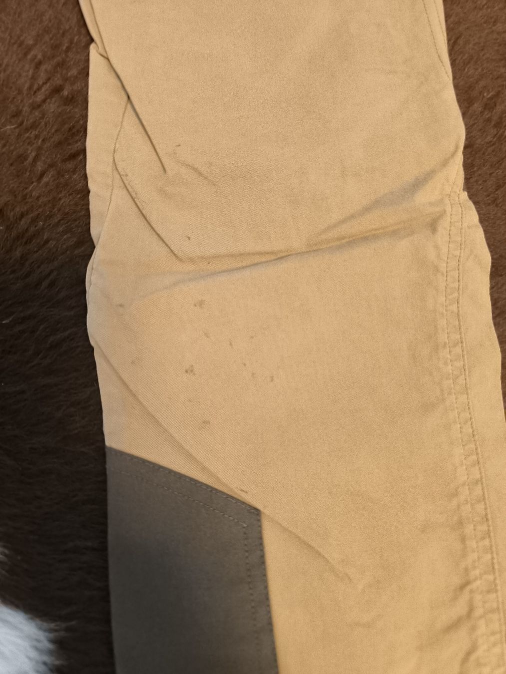 Jako-O Pantaloni: Jako-o Trekking Hose Grösse 146 – Usato da Bichwil venduto da Betzgi0 2