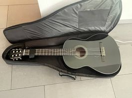 Gitarre inklusive Case + neue Seiten