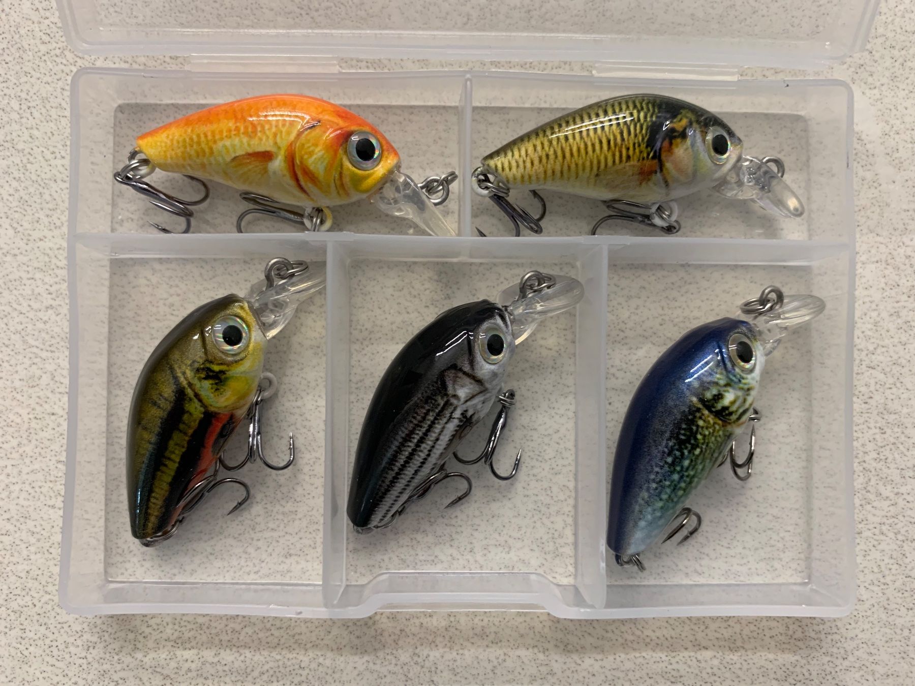 Esche: Angelköder 5x Wobbler 3,6 cm, 3,6 g mit Box – Nuovo e nell'imballaggio originale da Aarburg venduto da 2..0 1