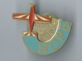 Flugzeug Pin