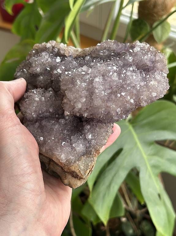Minéraux & Lithothérapie: Amethyst Drusenstufe – Neuf (Voir description) à Basel par Richard467 2