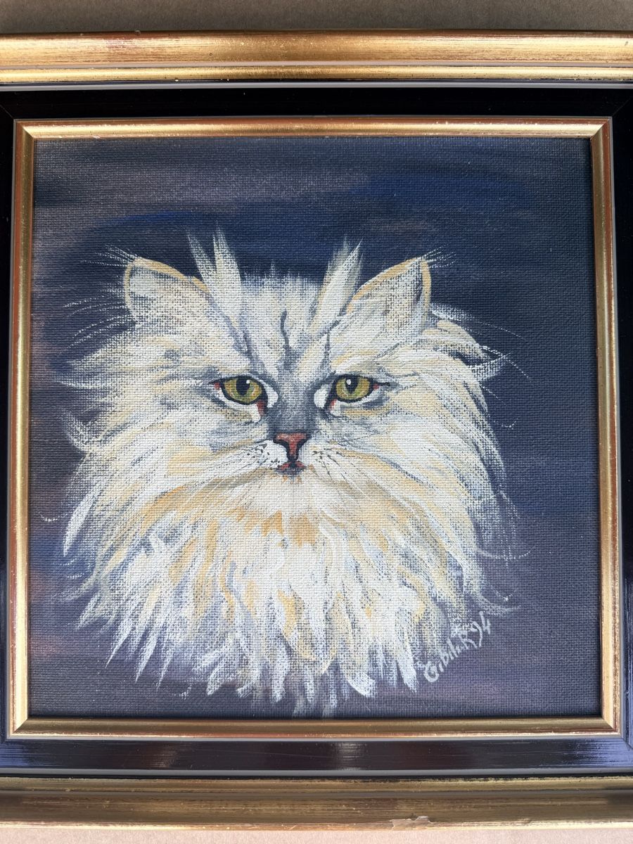 Dipinti: Signiertes Katzenbild – Ölgemälde – Usato da Solothurn venduto da NUVICO 4
