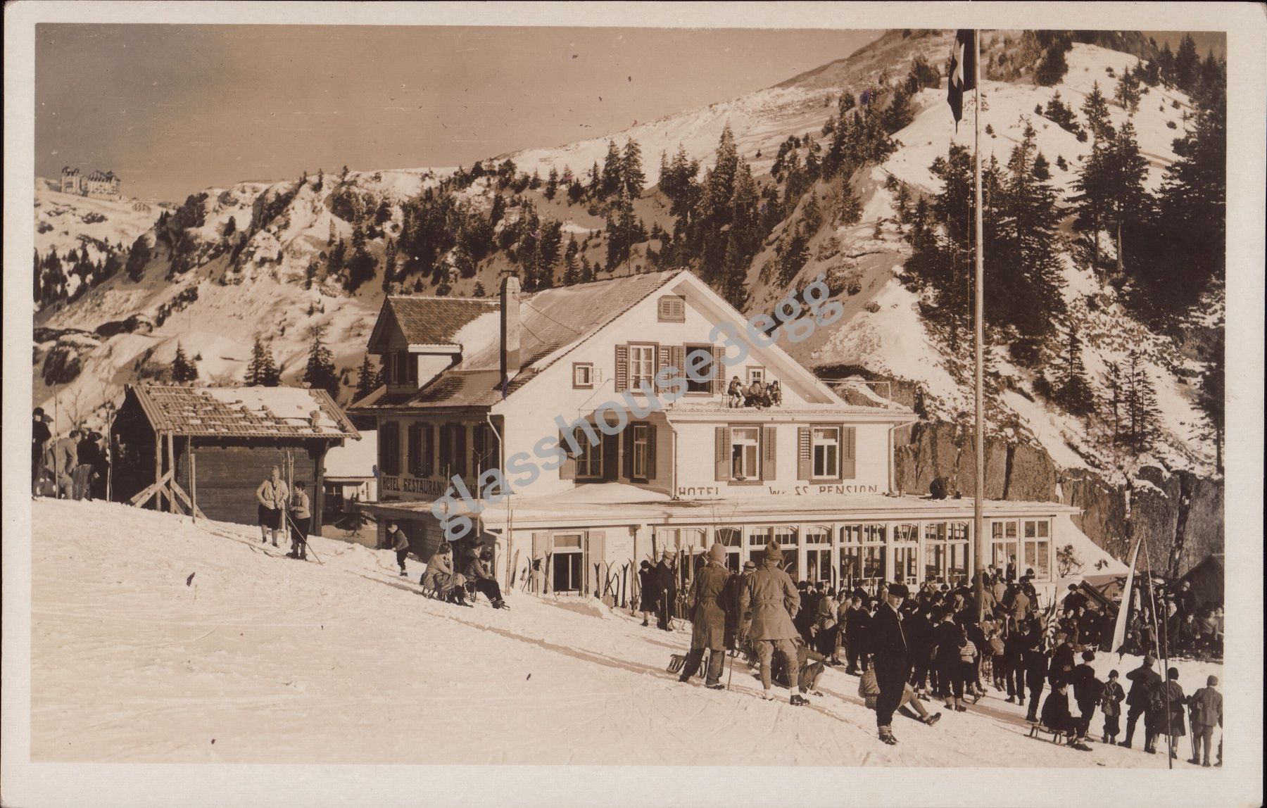 Cartoline postali: AK Hotel Edelweiss Rigi - Staffelhöhe – Usato da Eggersriet venduto da glasshouse3egg
