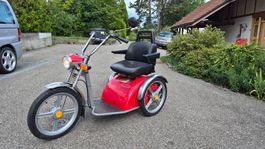 KYBURZ CLASSIC Standard 12 KM/H