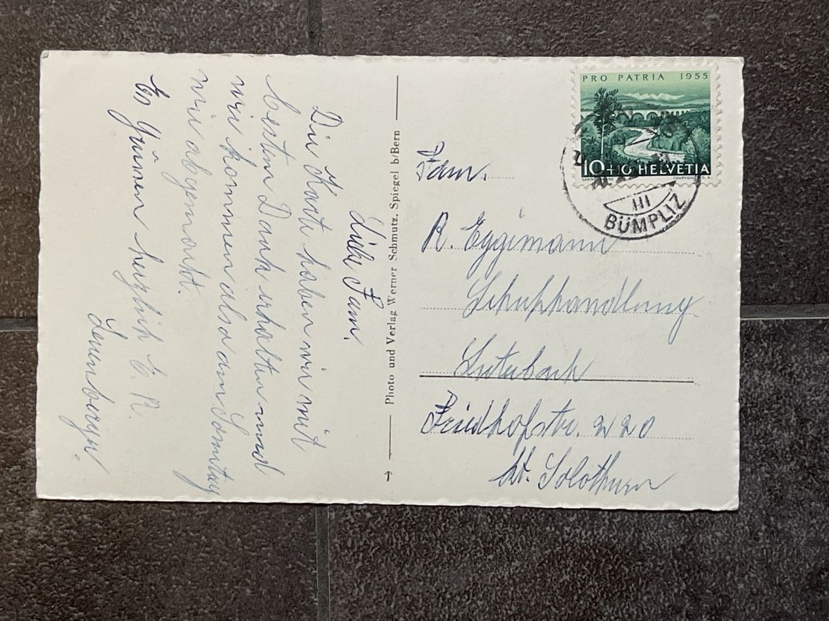 Cartoline postali: Ansichtskarte Bären in Bern – Usato da Strengelbach venduto da Aschatan5 1