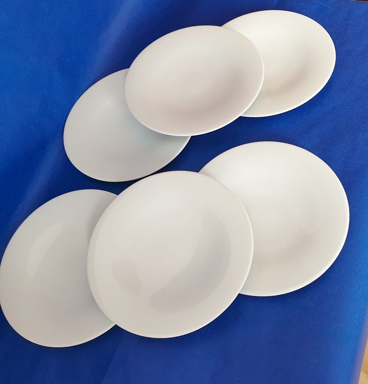 HEMOTON Keramik Teller Mit Katzen Design - 6 Zoll Dessertteller Bruchsicher