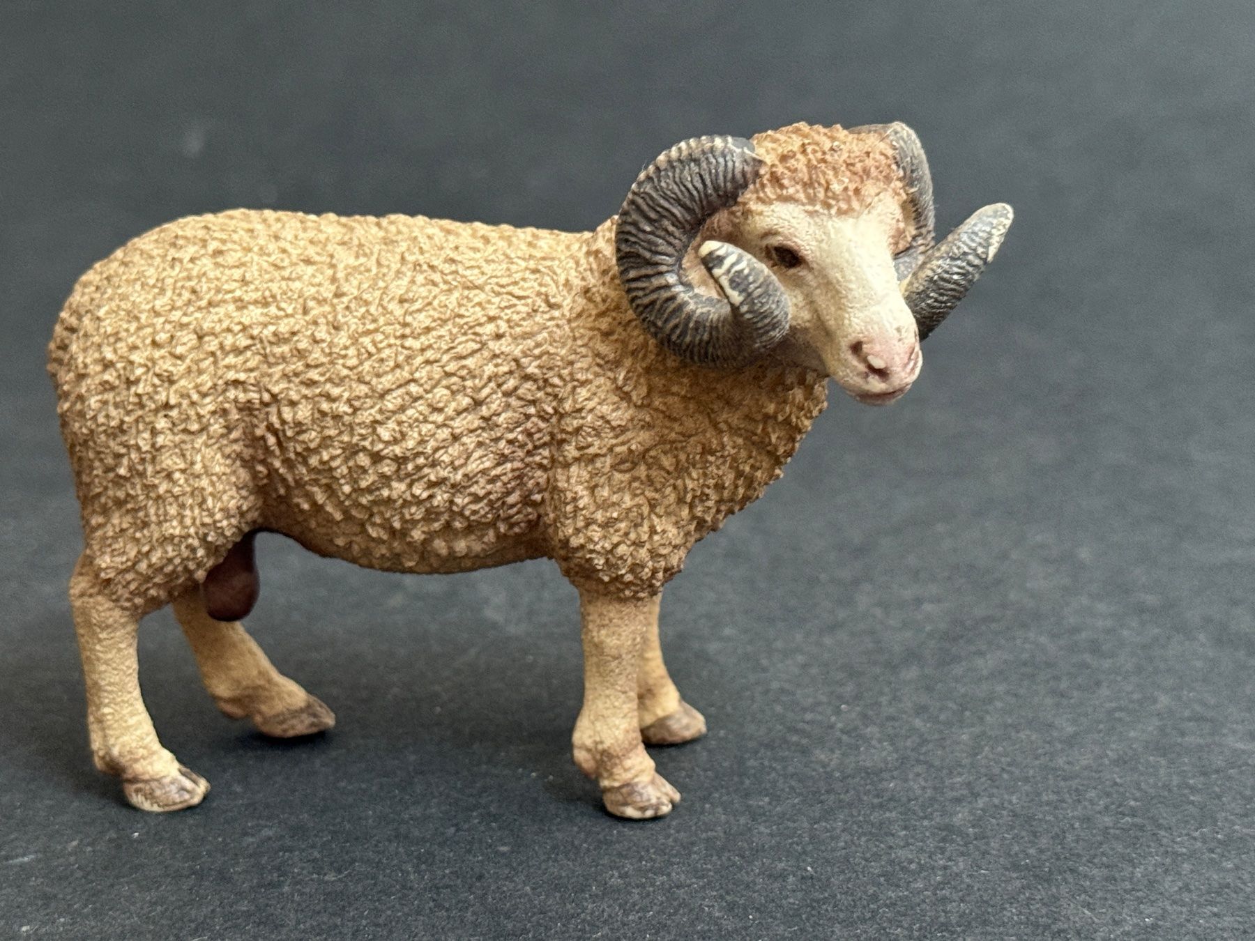 Schleich Statuette: Schleich Widder 13726 Schaf Schafbock – Usato da Ennetbaden venduto da mapa05 2