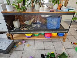 Terrarium
