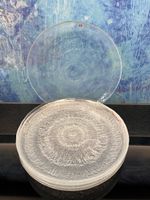 6 Essteller Iittala Finnland Solaris Teller Geschirr Glas