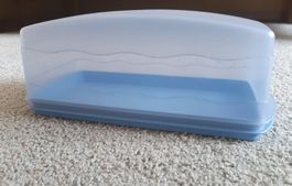 Grosser Tupperware Kuchenbehälter 30x15 cm