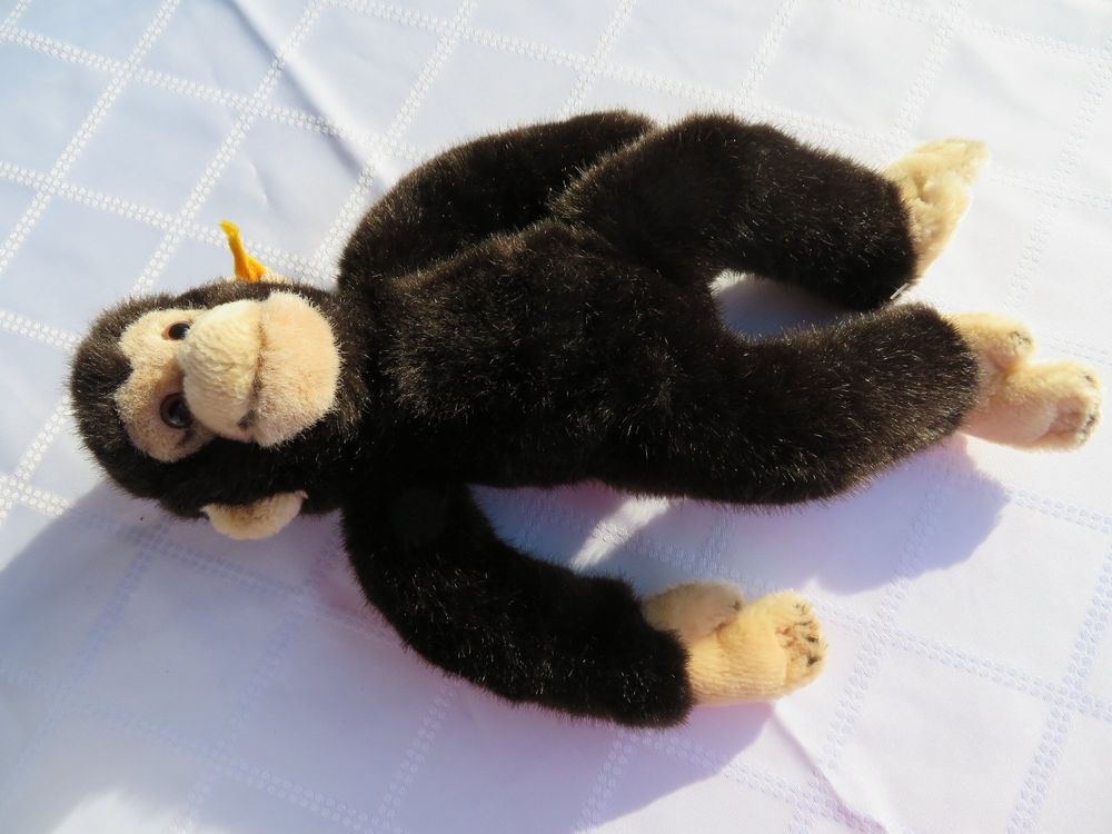 alter Steiff Affe 35 cm gross (Gebraucht) in Abtwil SG für CHF 32 – mit