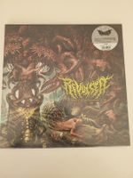 Revulsed - Cerebral Contamination Ltd. Clear Vinyl LP