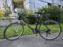 Vélo de ville (personne ~1,60m) avec cadenas