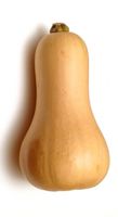 Graines de butternut 