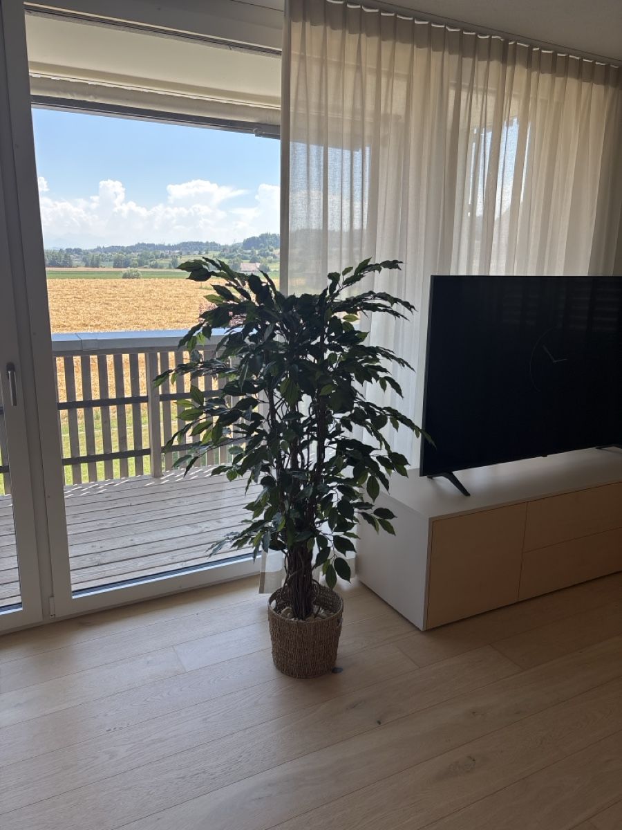 Plantes & graines: Kunstpflanze gross – D'occasion à Aristau par default0