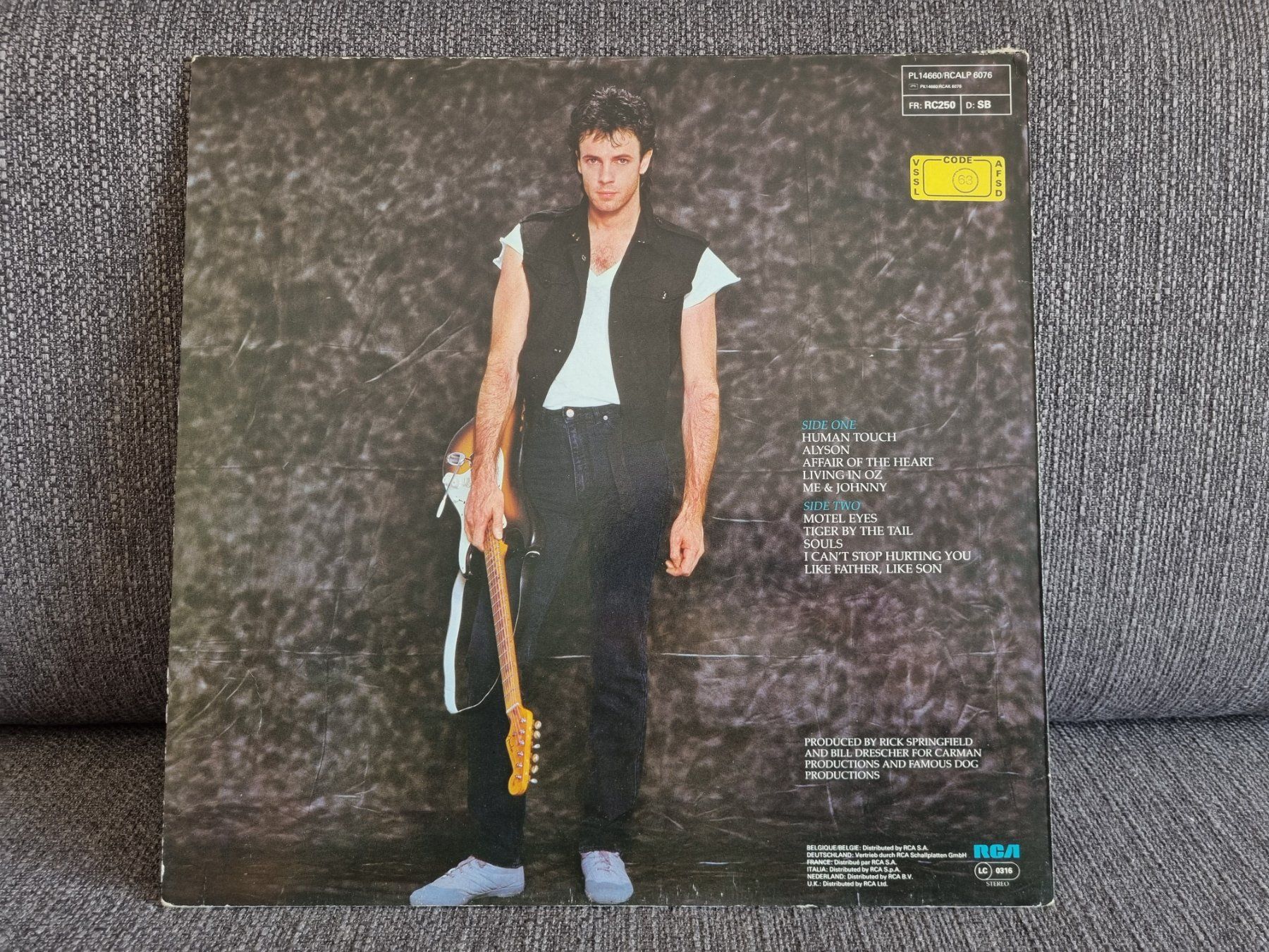 Dischi in vinile: Rick Springfield - Living in Oz - Lp – Usato da Troistorrents venduto da Syrocks 2