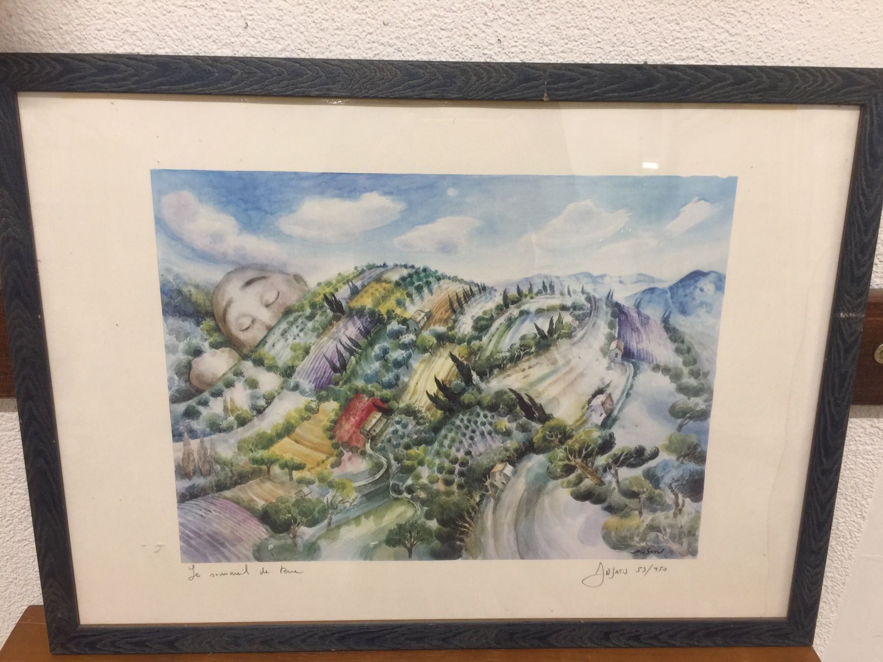 Tableaux: Ansatu Schlumberger Gemälde – D'occasion à Dietikon par brocki-eyra 7