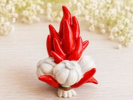 12 magneti aglio e peperoncino decorativi nuovo set