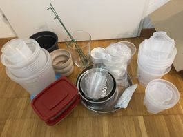 Grosses Pflanzenzubehör-Paket – Töpfe, Übertöpfe