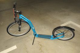 Yedoo Five Tretroller für Erwachsene blau