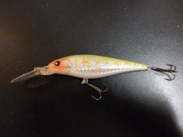 Ioda Runbo 80 mm floating