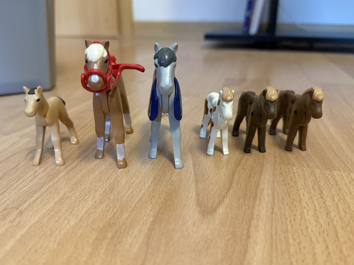Playmobil Jouets: Chevaux Playmobil – D'occasion à Courfaivre par Lo_noi 2