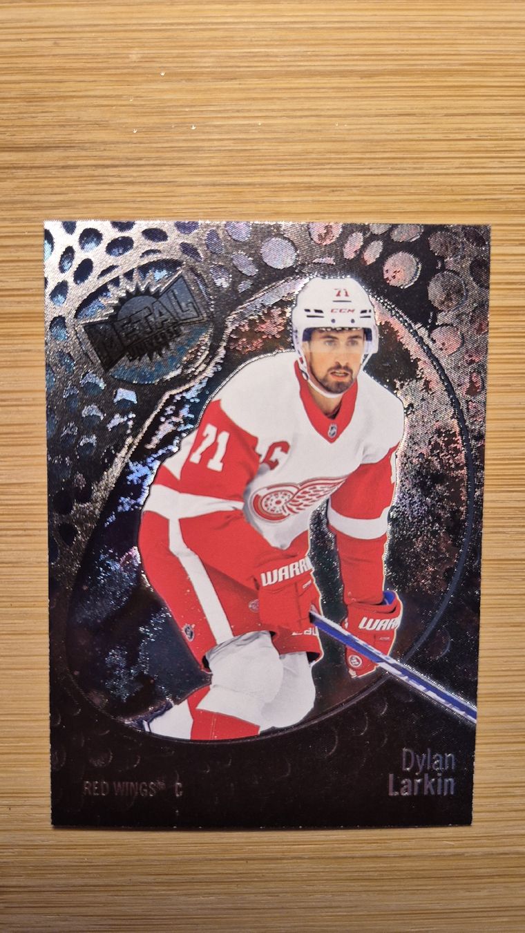 NHL Carte collezionabili: NHL Detroit Red Wings Dylan Larkin – Usato da Bellach venduto da paedu-1980