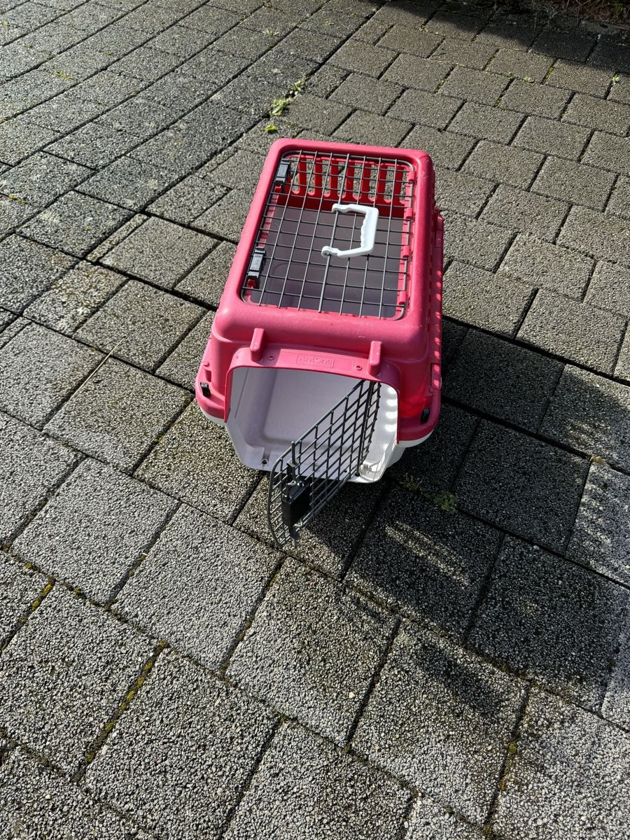 Käfige, Transport & Sicherheit: Hunde- und Katzenbox – Gebraucht aus Kefikon ZH von Gary97 1