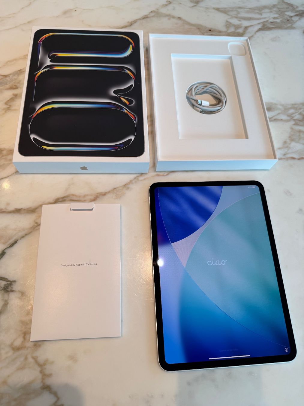 Apple Tablet PC: iPad Pro 11" M4 Wi-Fi 256GB Mod. A2836 – Usato da Scherzingen venduto da oli_9rjp