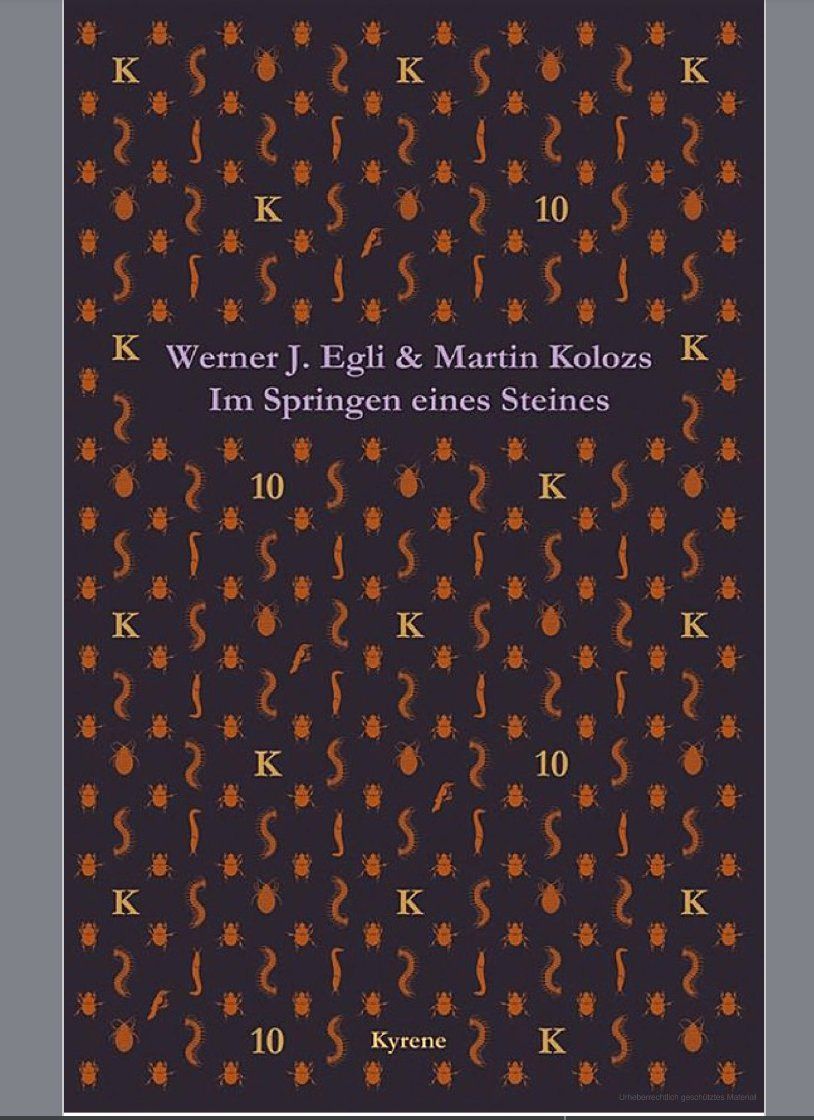 Libri: Im Springen eines Steines – Usato da Frauenfeld venduto da SCHATZtruhe_369