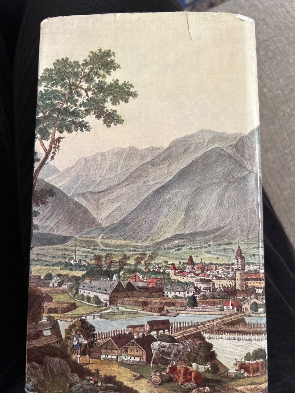 Bücher: Der Inn Engadin sayn Wittgenstein – Gebraucht aus Champfèr von Rothli 1