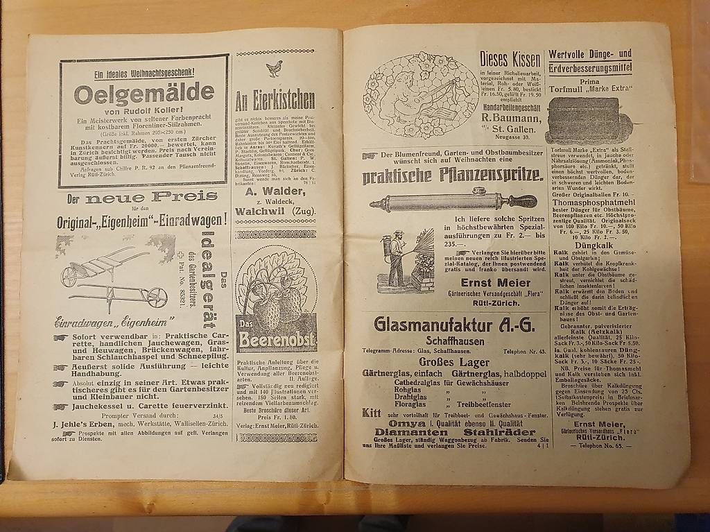Riviste & Magazine: Zeitschrift Der Schweizer Pflanzen-Freund 1927 – Usato da Maschwanden venduto da ruth07 1