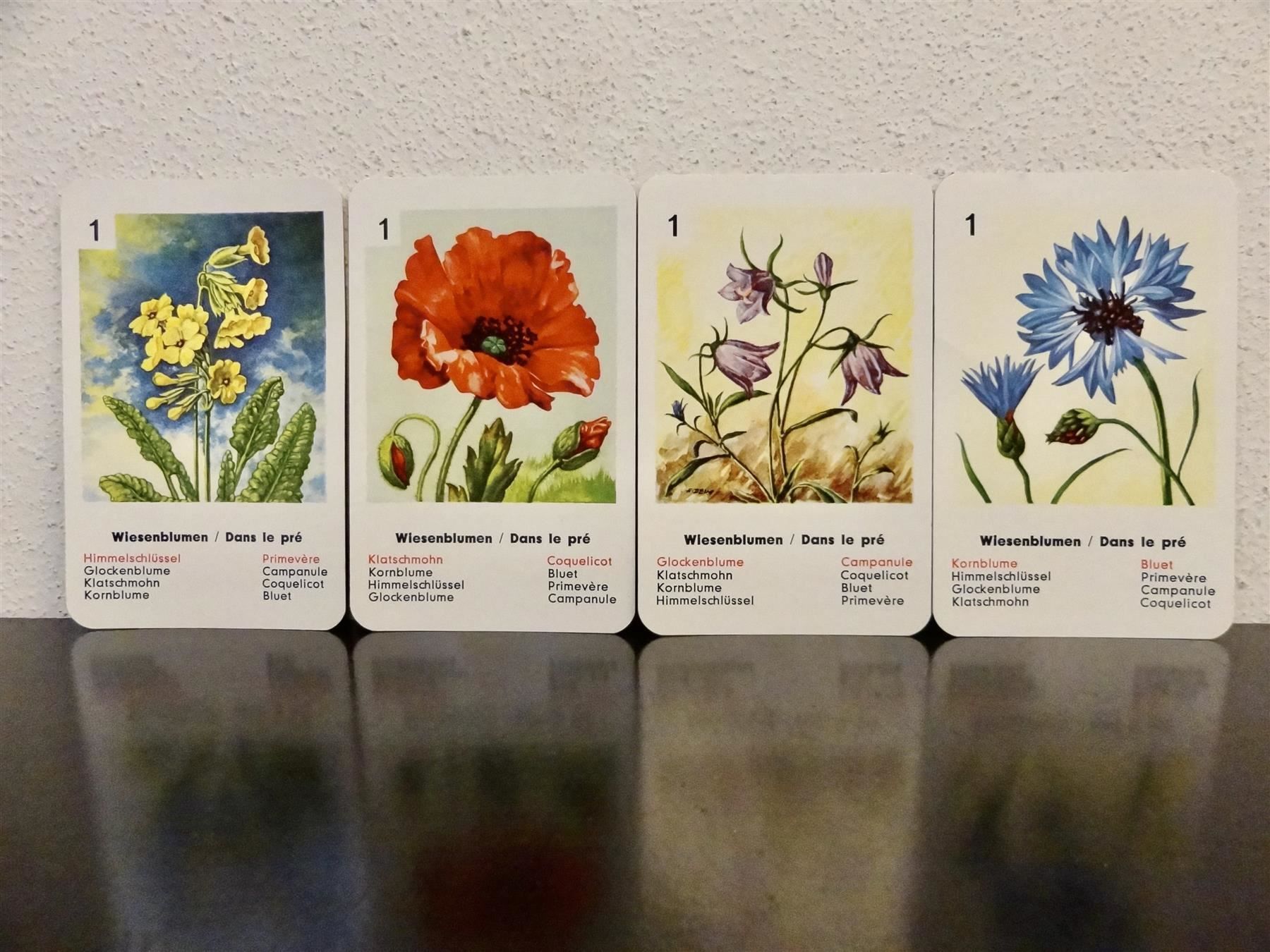 Giochi: altes Quartett BLUMEN-QUARTETT BLUMEN – Usato da Kerzers venduto da wisaundso 2