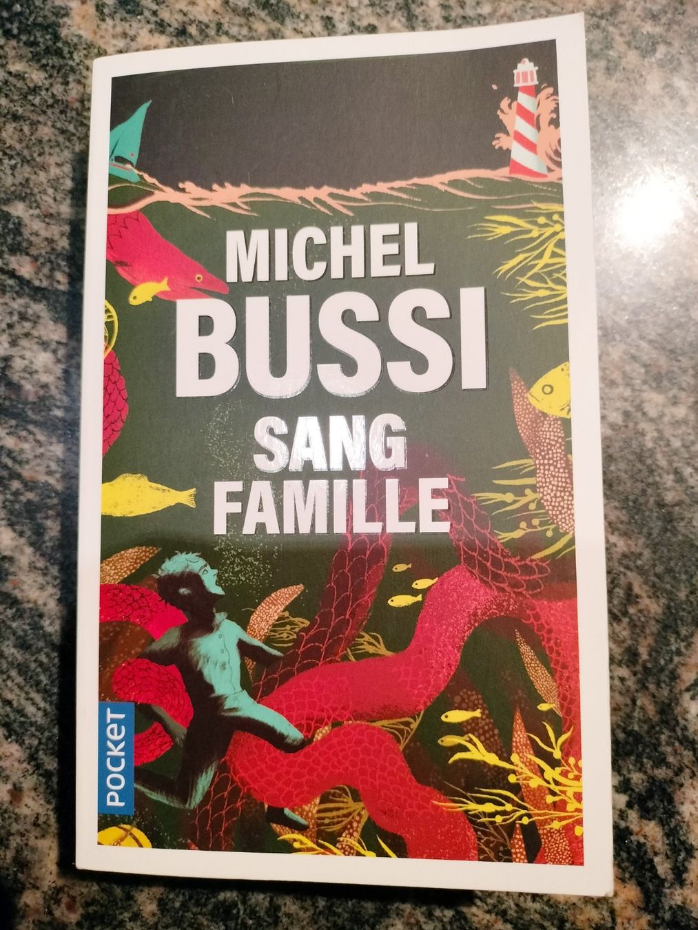 Libri: Sang famille MICHEL BUSSI – Usato da Cortaillod venduto da rozinna