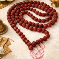 Mala Rudraksha Shiva Gebetskette 180cm Indien