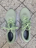 Asics Patriot 14 / 41.5
