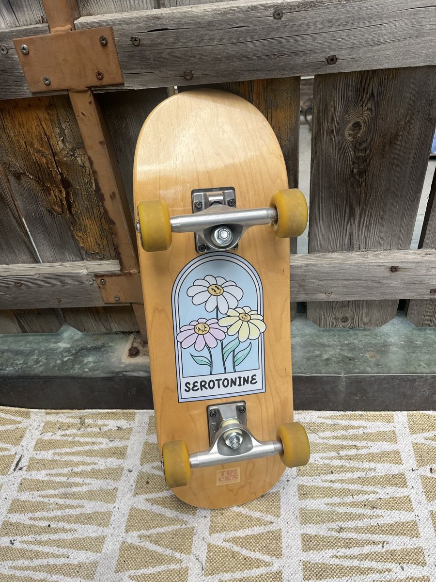 Skateboards: Kinder Skateboard – Gebraucht aus Zermatt von B.15.v02 1
