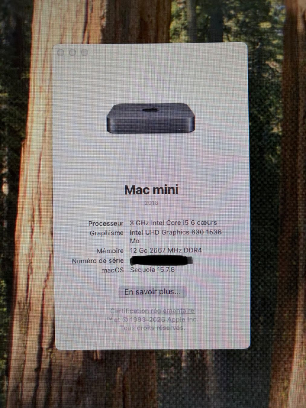 Apple PCs: Mac Mini 2018 – D'occasion à Biel/Bienne par sebooounet 1
