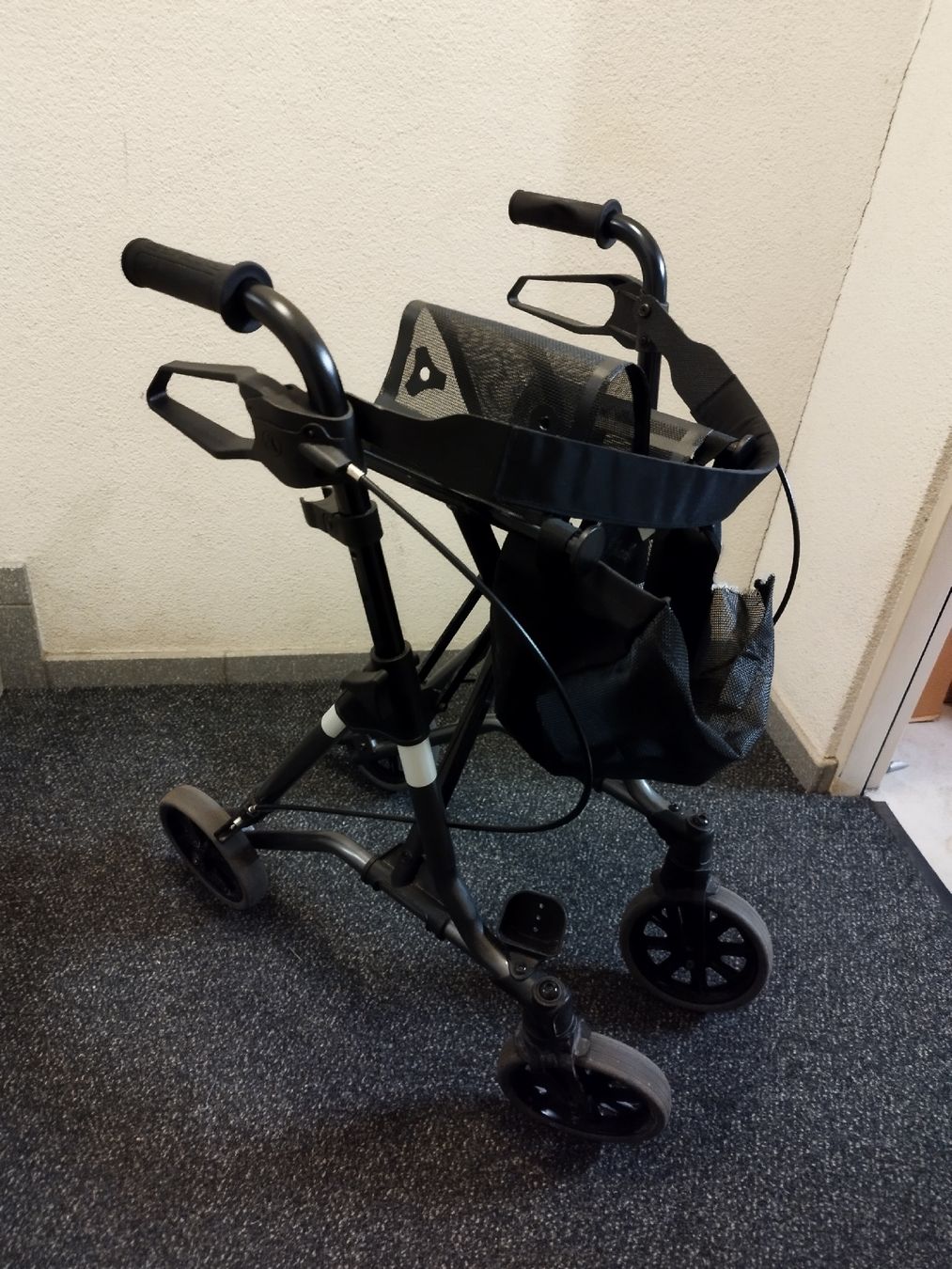 Ausili per la deambulazione: Rollator – Difettoso da Unterengstringen venduto da Wolverine65 1