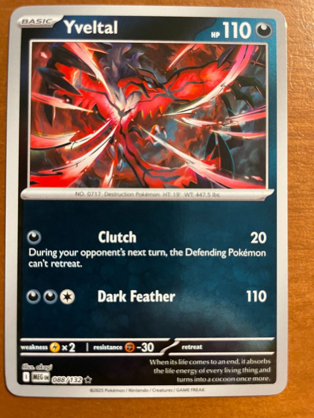 Pokémon Sammelbilder & Trading cards: Pokemon Yveltal Reverse (Versand gratis) – Neu (gemäss Beschreibung) aus Chur von Angerson
