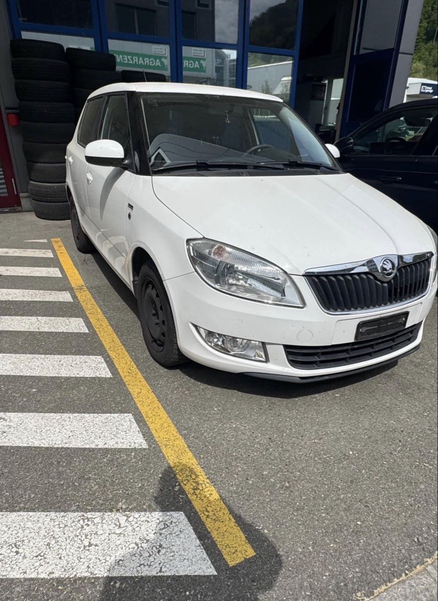 Skoda Automobili: Skoda Fabia 1.2 TSI Gtec – Usato da Willisau venduto da SM. 1