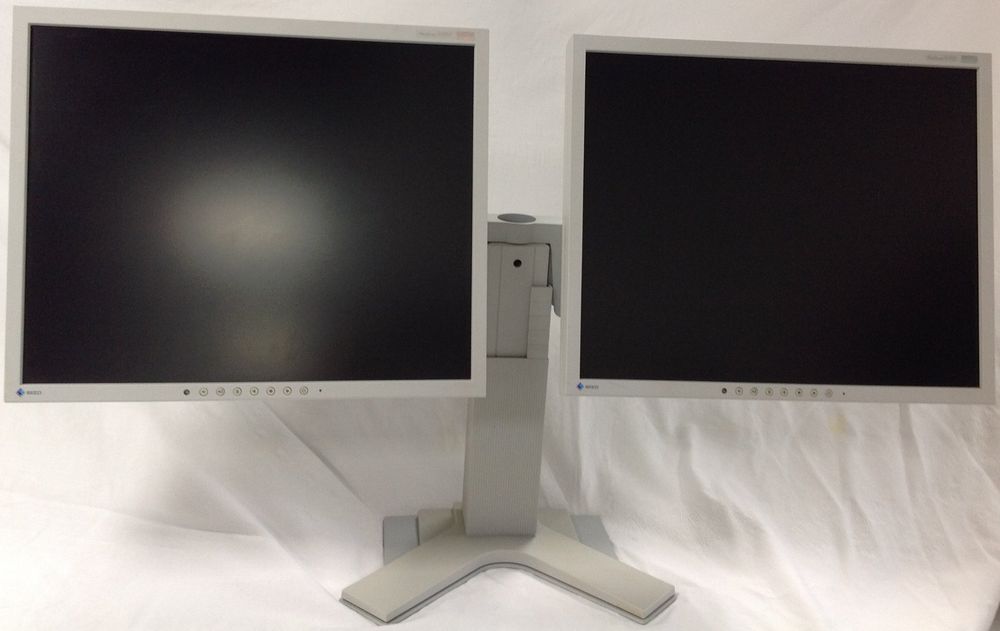 Dual-System Eizo FlexScan S1921 Pivot Display 19