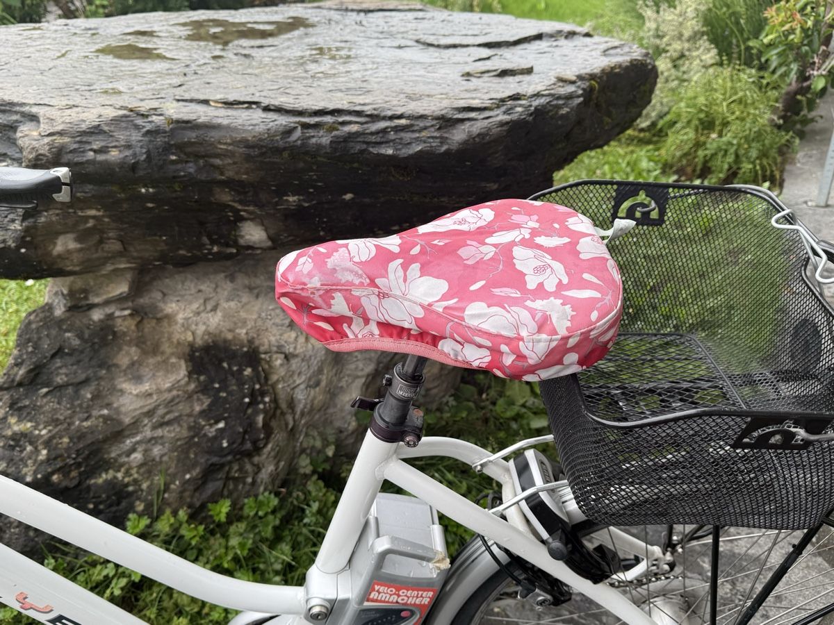 Flyer Velos: Gebrauchtes Flyer E-Bike, HS L-Serie, 2012 – Gebraucht aus Schwanden b. Brienz von Baal1 4