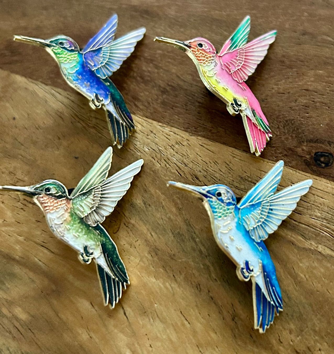 Placchette & Badge: Set 4x Pin Vogel Kolibri – Nuovo e nell'imballaggio originale da Geneve venduto da vane267