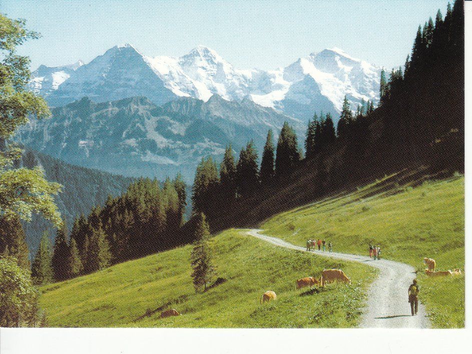 Cartoline postali: Beatenberg um 1995 – Usato da Bürglen TG venduto da StampGraf