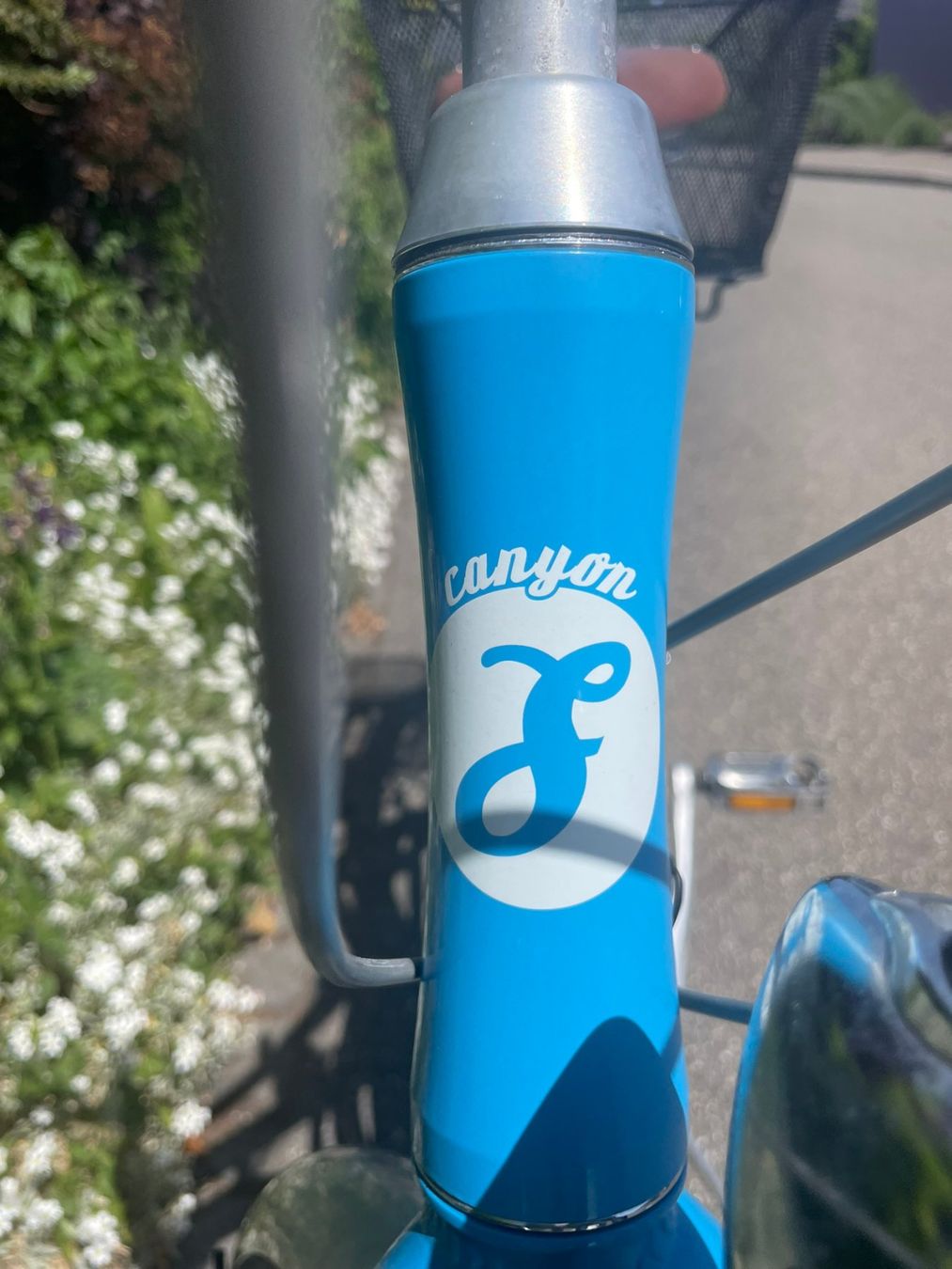 Canyon Biciclette: Damenvelo Canyon Silhouette hellblau / Retrobike – Usato da Dietlikon venduto da Gwundrix 3