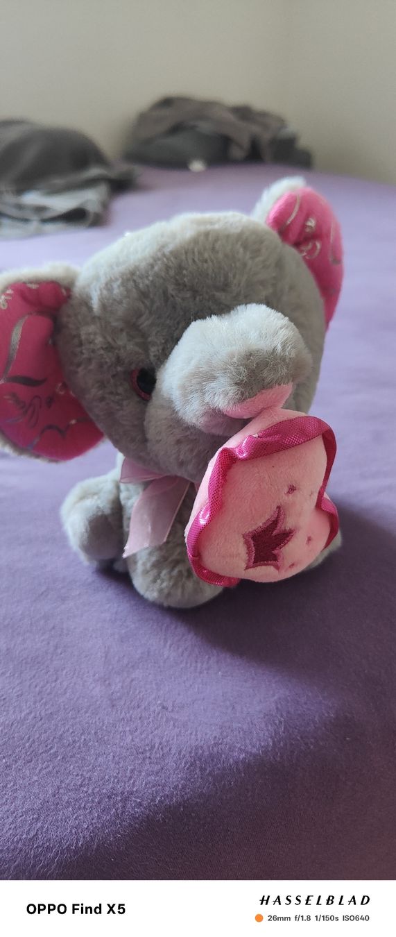 Giocattoli: HERZ Elefant Süss – Usato da Unterentfelden venduto da igs_nj72 1