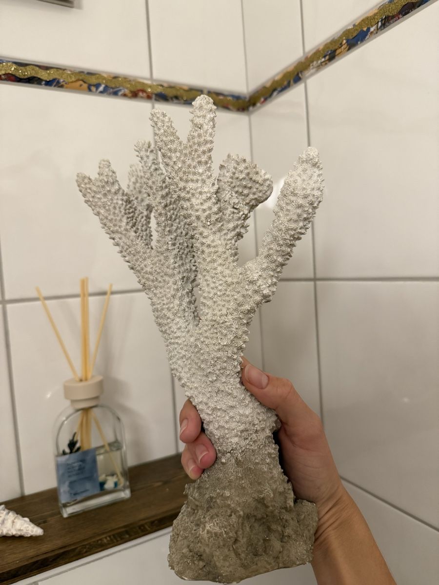 Tutte le decorazioni: Korallen Deko – Usato da Mörschwil venduto da Seegurke18 1